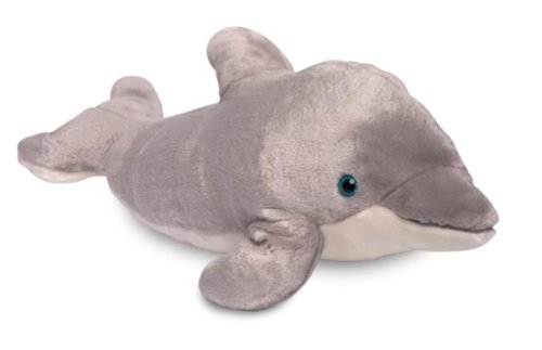 Dolphin Plush 20