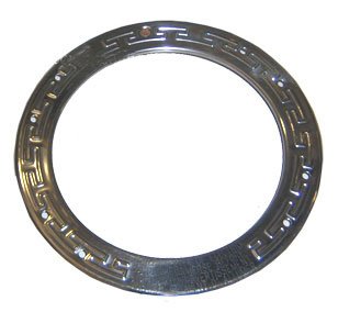 Pentair 79110600 Stainless Steel Face Ring Assembly - AmerLite