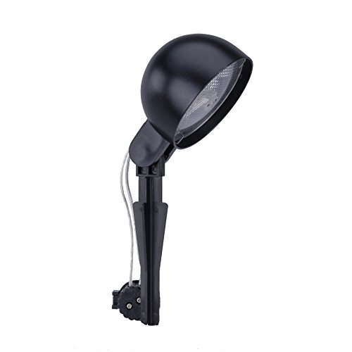 

1-Light Black Low Voltage Incandescent Flood Light