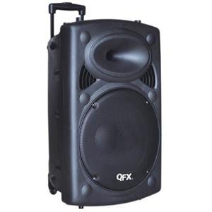 

The Excellent Quality 15"Battery Powerd BT Speaker