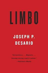 Limbo: A Novel of Suspense by Joseph P. DeSario