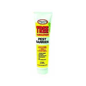 Tree Insect Barrier What Is Tanglefoot Pest Barrier? – RMLIZB