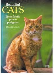 Beautiful Cats: From Family Pets to Pedigrees