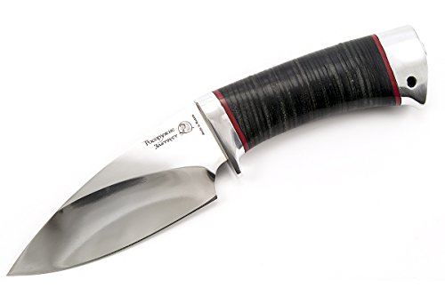 Algopix Similar Product 15 - 