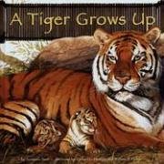 A Tiger Grows Up (Wild Animals (Picture Window Hardcover))