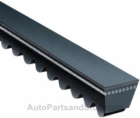 

Gates TR24449 Truck Belt