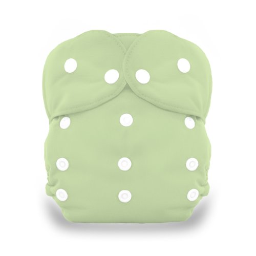Algopix Similar Product 17 - Thirsties Duo All In One Snap Diaper