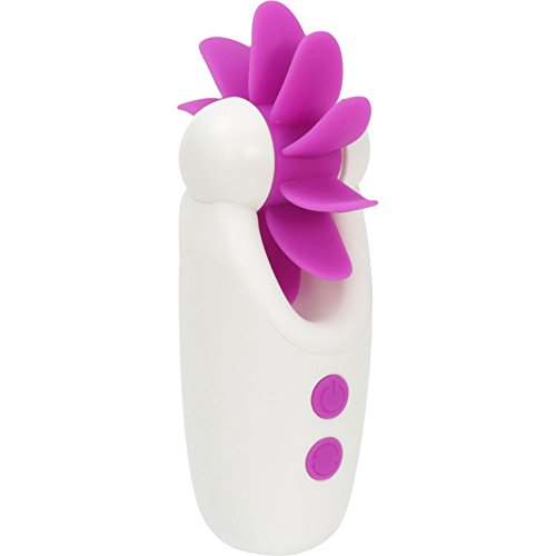 Algopix Similar Product 9 - 
