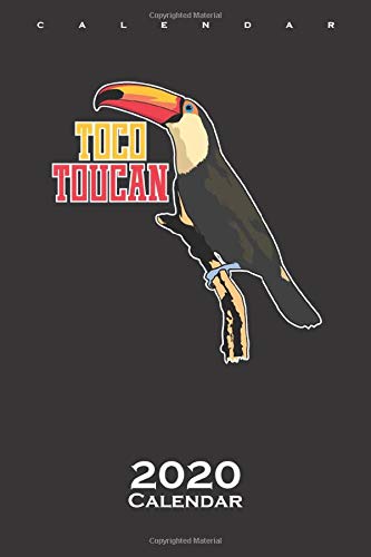 Giant toucan "Tocu Tucan" Toucan bird Calendar 2020: Annual Calendar for Bird lovers, animal lovers and toucan lovers by Diego Steiger