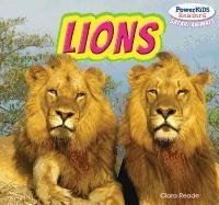 Lions by Clara Reade