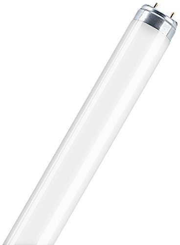 Algopix Similar Product 2 - Osram 446165  L 10W827 Straight T8