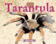 Tarantula (Bugs!) by Heather Miller