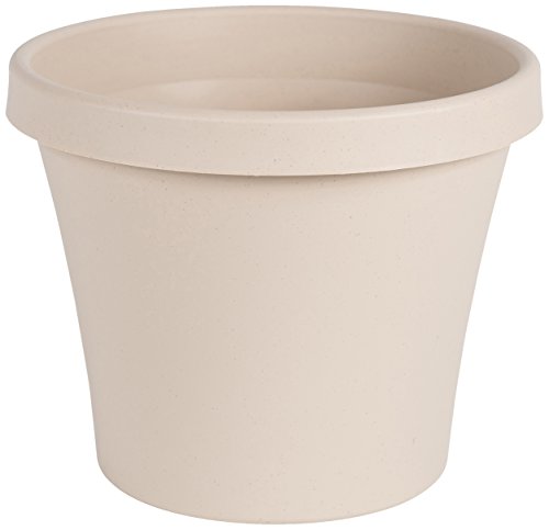 Algopix Similar Product 18 - Bloem Terra Pot Planter 8" Taupe
