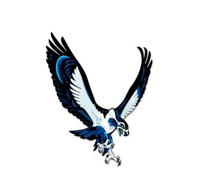 Seattle Seahawks NFL car bumper sticker decal (4