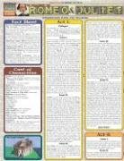 Romeo & Juliet (Quickstudy Reference Guides - Academic)