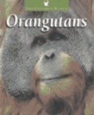 Orangutans by Patricia Miller-Schroeder