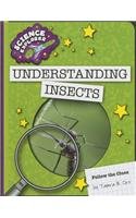 Understanding insects