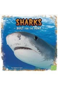 Sharks: Built for the Hunt by Tammy Gagne