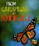 From Caterpillar to Butterfly (Heinemann First Library) by Anita Ganeri