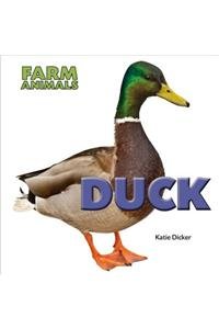 Duck by Katie Dicker