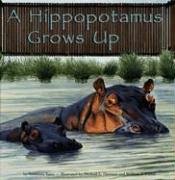 A Hippopotamus Grows Up (Wild Animals (Picture Window Hardcover))