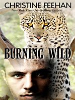 Burning Wild