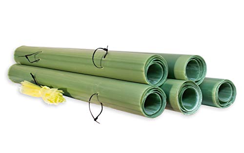 Algopix Similar Product 9 - Tubex 4 Tree Shelter, 25 pack