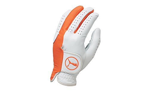 Puma Golf Mens Left Hand Regular Fit Pro Formation Hybrid Glove