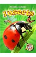 Insects (Animal Classes) by Kari Schuetz