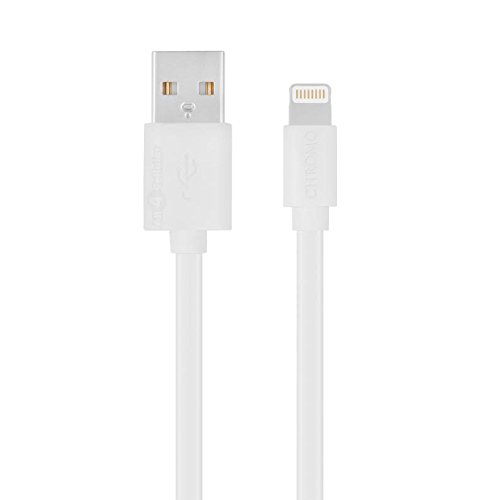 

Apple Certified Lightning to USB Cable - 4 Feet (1.2 Meters)