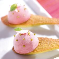 

Sasa Demarle Flexipan® - Spoons 1.12" x 3.50" (28 x 90 mm) - 18" x 26" (400 x 600 mm) - 36 indents