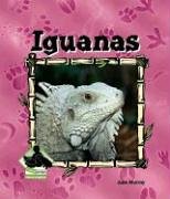 Iguanas (Amimal Kingdom) by Julie Murray
