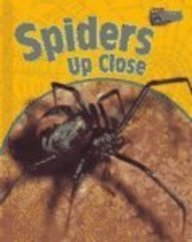 Spiders Up Close (Raintree Perspectives) by Adam Hibbert