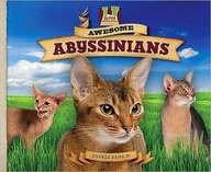 Awesome Abyssinians