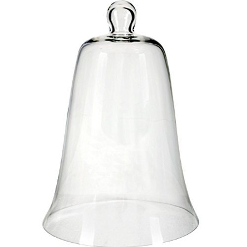 Algopix Similar Product 3 - Benzara BM165437 Transparent Classy