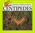 Centipedes (Animals Without Bones) by Jason Cooper