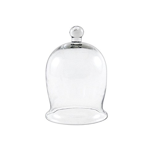 Algopix Similar Product 5 - Achla Designs Miniature Bell Jar I
