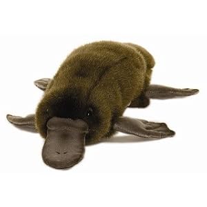 Platypus 15" by Hansa