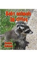 Baby Animals in Cities by Bobbie Kalman