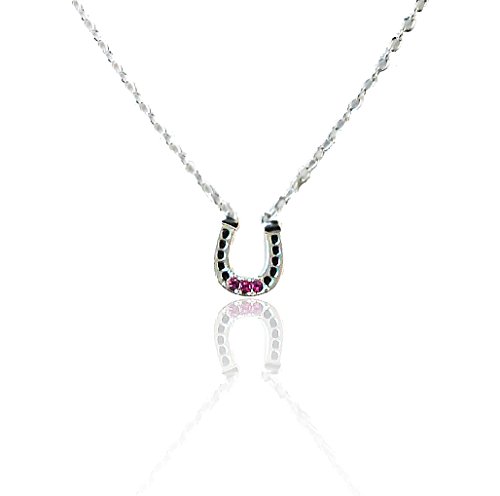 Algopix Similar Product 3 - Horseshoe Necklace  Earring set pink