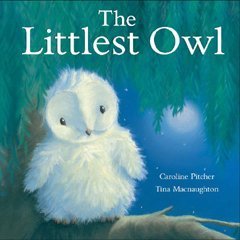 The Littlest Owl by Caroline Pitcher