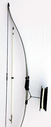 Algopix Similar Product 1 - Starter Bowfishing Set Complete With