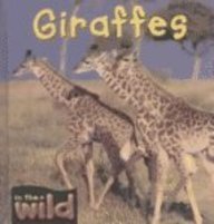 Giraffes (In the Wild) by Patricia Kendell