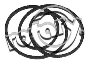 Rotary 9848 Drive Belt