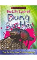 The Life Cycle of Dung Beetles