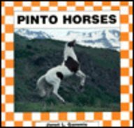 Pinto Horses