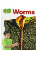 Worms (Minipets)