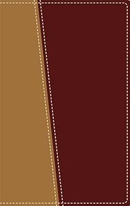 Amplified Topical Reference Bible, Imitation Leather, Tan/Burgundy