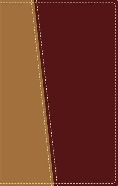 Amplified Topical Reference Bible, Imitation Leather, Tan/Burgundy by Zondervan