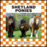 Shetland Ponies (Horses)